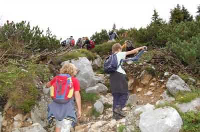 Kliknite za ogled večje slike