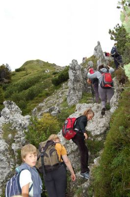 Kliknite za ogled večje slike
