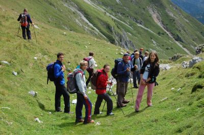 Kliknite za ogled večje slike