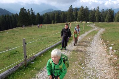 Kliknite za ogled večje slike