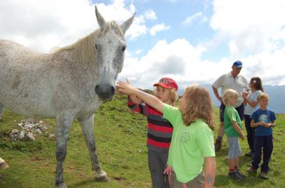 Kliknite za ogled večje slike