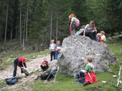 Kliknite za ogled večje slike