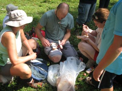 Kliknite za ogled večje slike