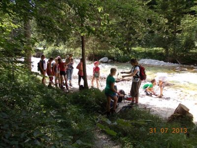 Kliknite za ogled večje slike