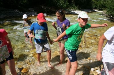 Kliknite za ogled večje slike