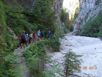 Kliknite za ogled večje slike