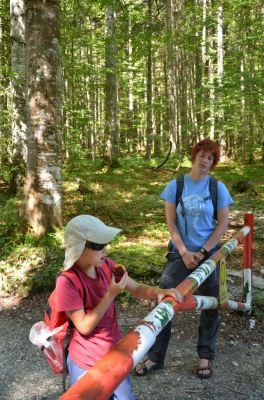 Kliknite za ogled večje slike