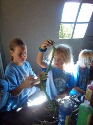 Kliknite za ogled večje slike