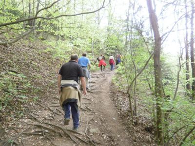 Kliknite za ogled večje slike