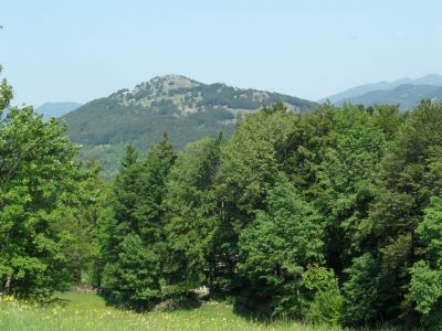 Kliknite za ogled večje slike