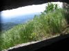 Porezen300509_014.jpg