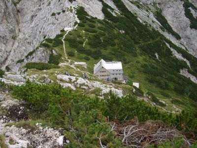 Kliknite za ogled večje slike