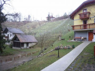 Kliknite za ogled večje slike