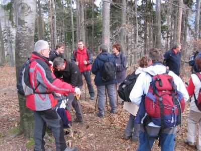 Kliknite za ogled večje slike