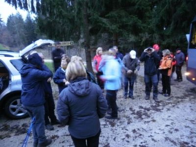 Kliknite za ogled večje slike