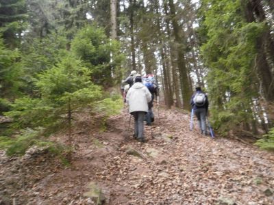 Kliknite za ogled večje slike